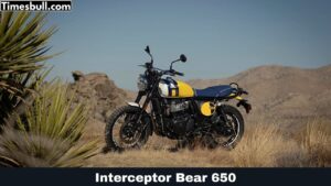 Royal Enfield Interceptor Bear 650 Launched: Powerful 650cc Cruiser for the Youth!