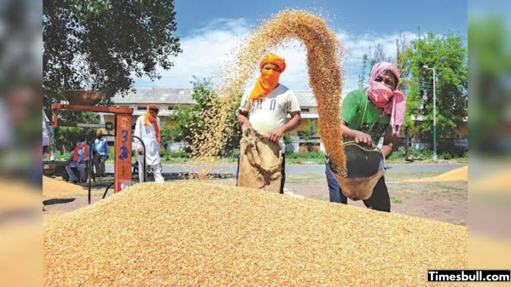 Haryana Government Purchase of wheat Starts, know Are The latest Rate