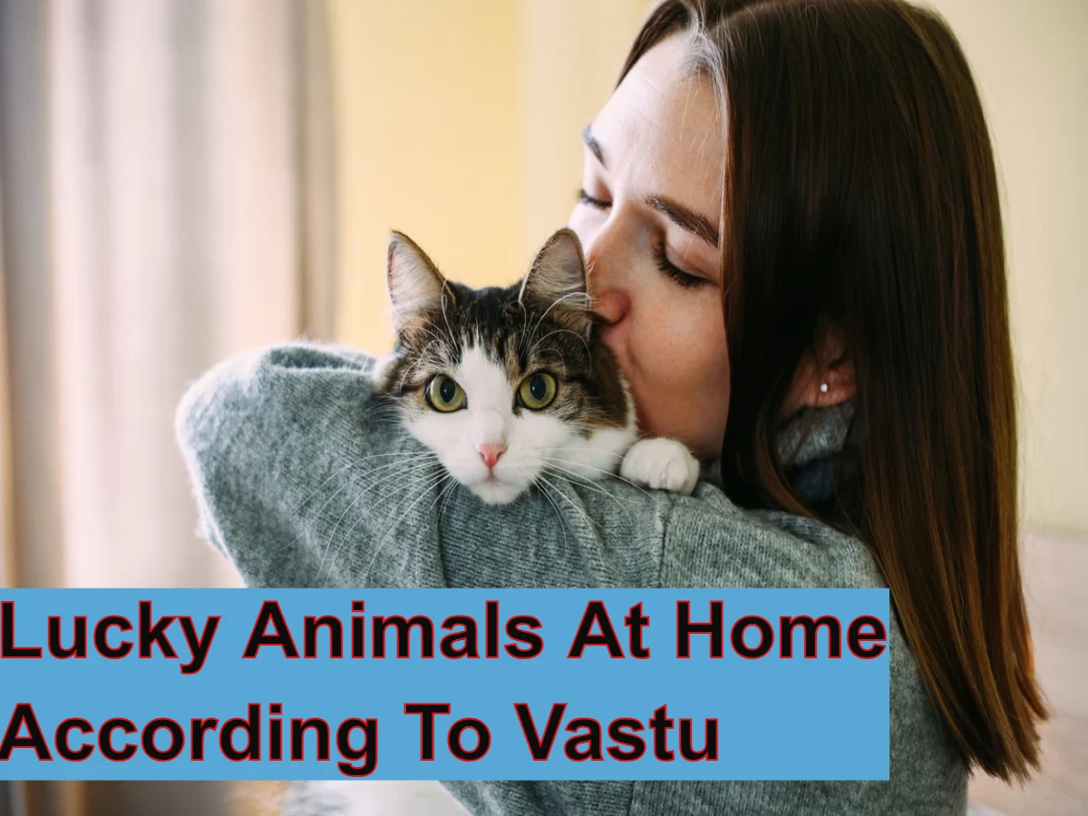 Lucky Animals At Home According To Vastu