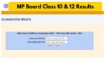 MP Board Class 10 & 12 Results