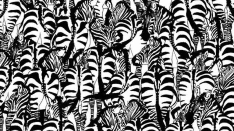 Optical Illusion: अगर आपकी बुद्धि भी है तेज, तो फोटो में छिपे ज़ेबरा को ढूंढे, जल्दी करें टाइम कम है भैया