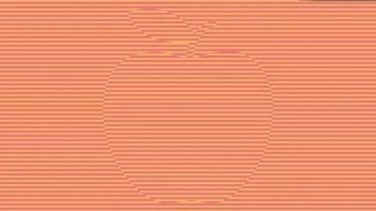 Optical Illusion Game