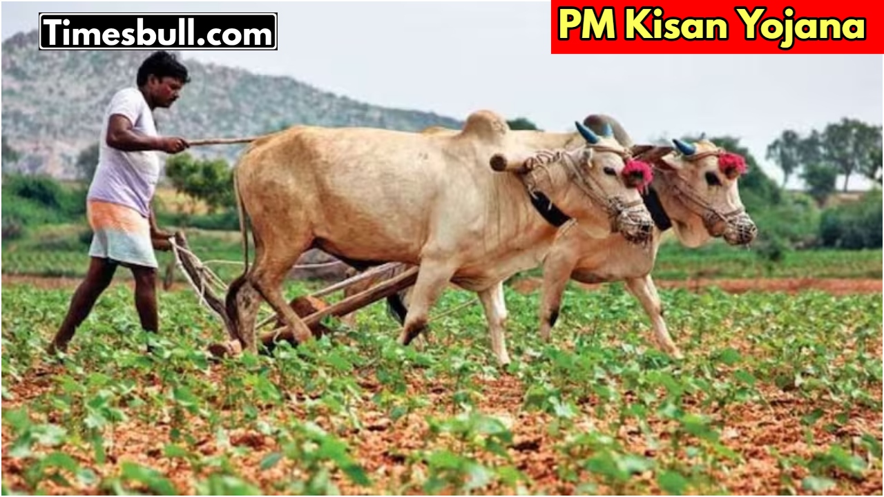 PM Kisan Samman Nidhi
