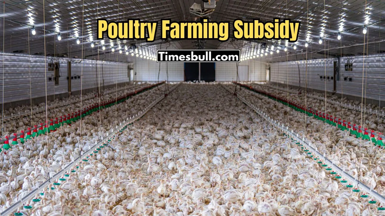 Poultry Farming Subsidy