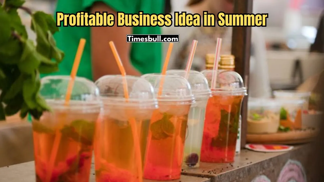 Profitable Business Idea in Summer