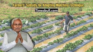 Subsidy for Adopting Mulching Technique