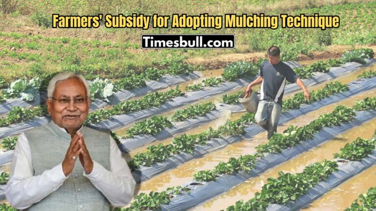 Subsidy for Adopting Mulching Technique