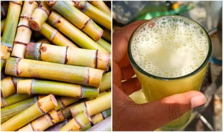 Sugarcane Juice Benefits