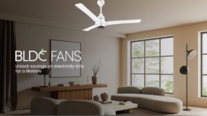 Looking for a Power-Efficient Ceiling Fan? Here Are the Best Options