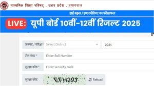 UP Board Result Release 2025: यूपी बोर्ड 10वीं और 12वीं का रिजल्ट तुरंत करें चेक, जानें आसान तरीका
