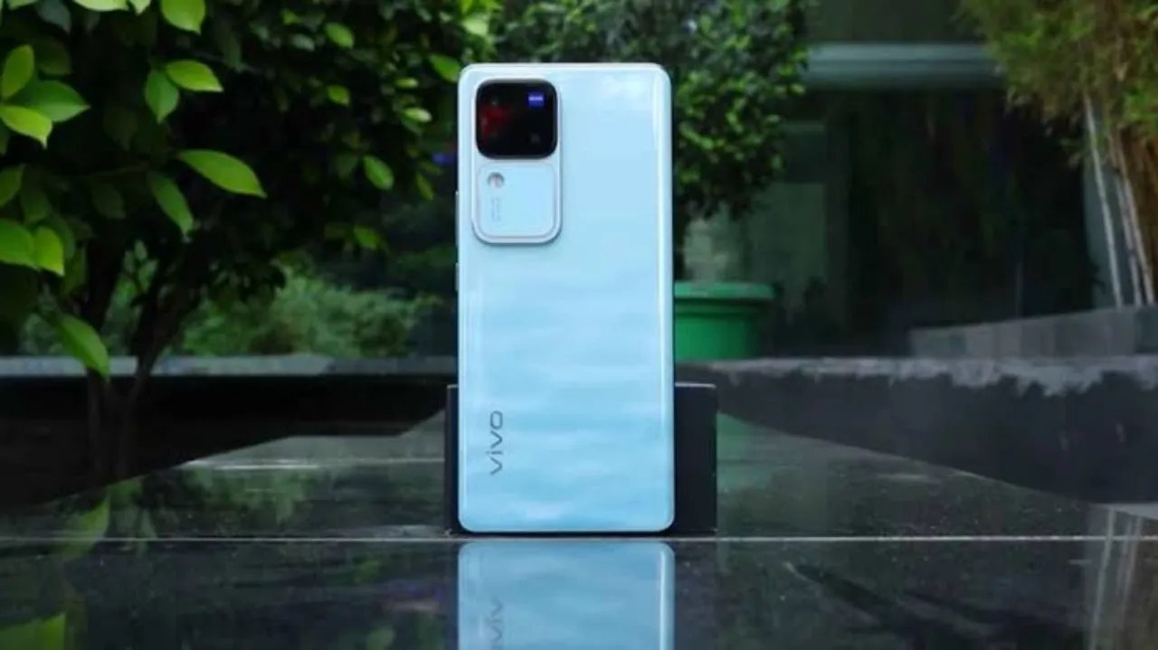 Vivo