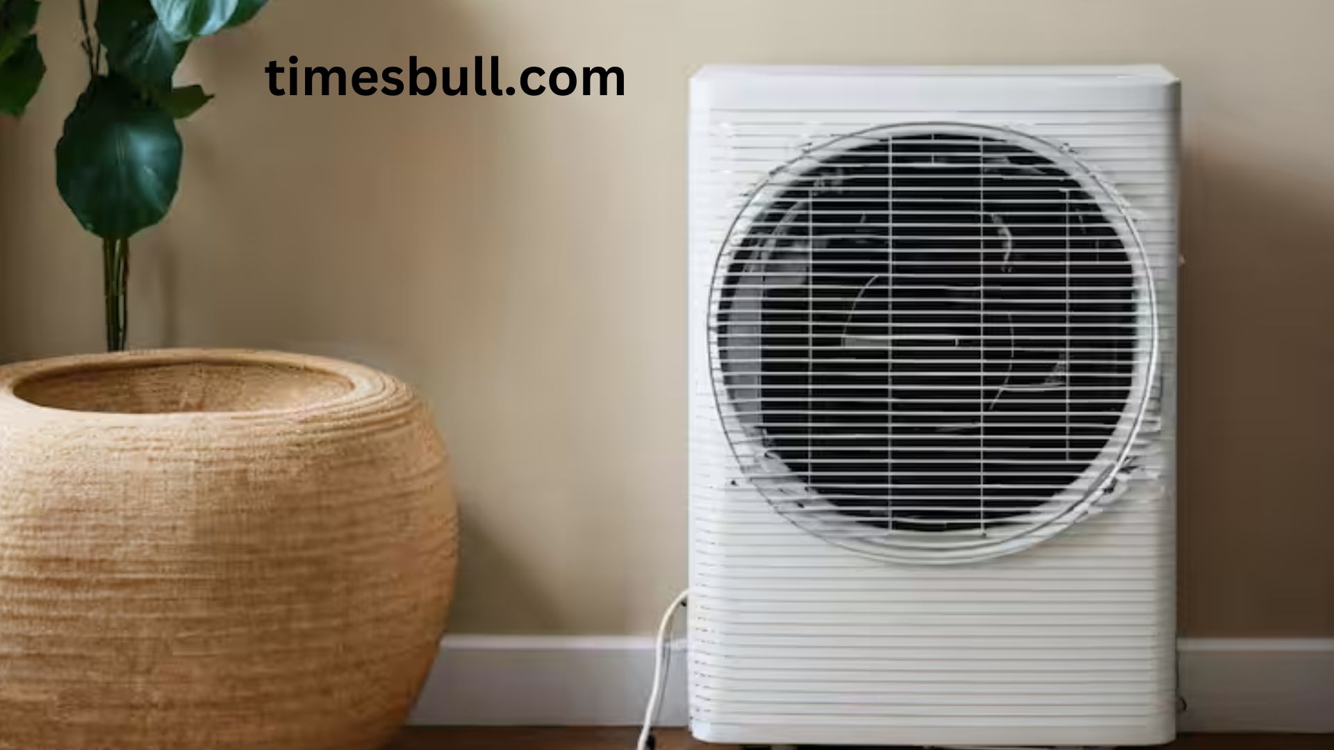 Air cooler:This 90 rupees