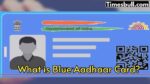 blue aadhaar