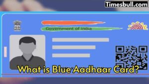 Blue Aadhaar