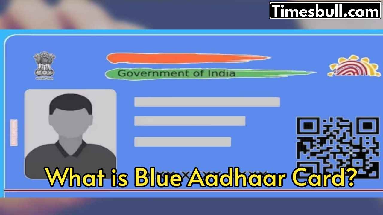 What is a Blue Aadhaar...