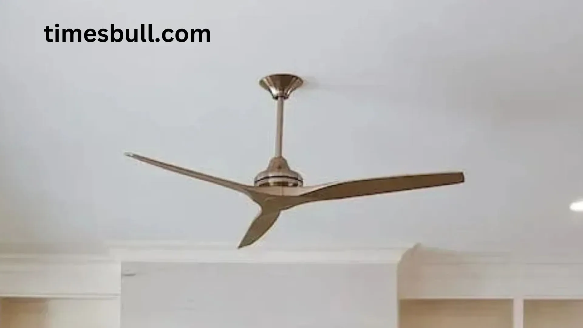 Celling Fan
