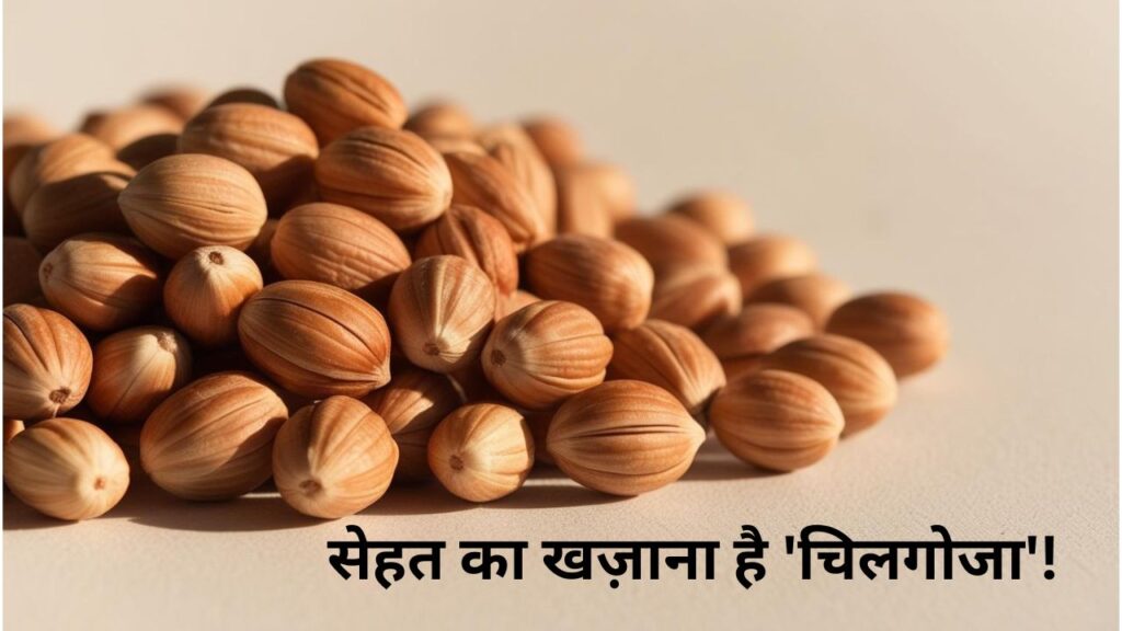 सेहत का खज़ाना है ‘चिलगोजा’! ये छोटा सा सुपरफूड क्यों है इतना खास? जानें दिल से बालों तक के अद्भुत फायदे