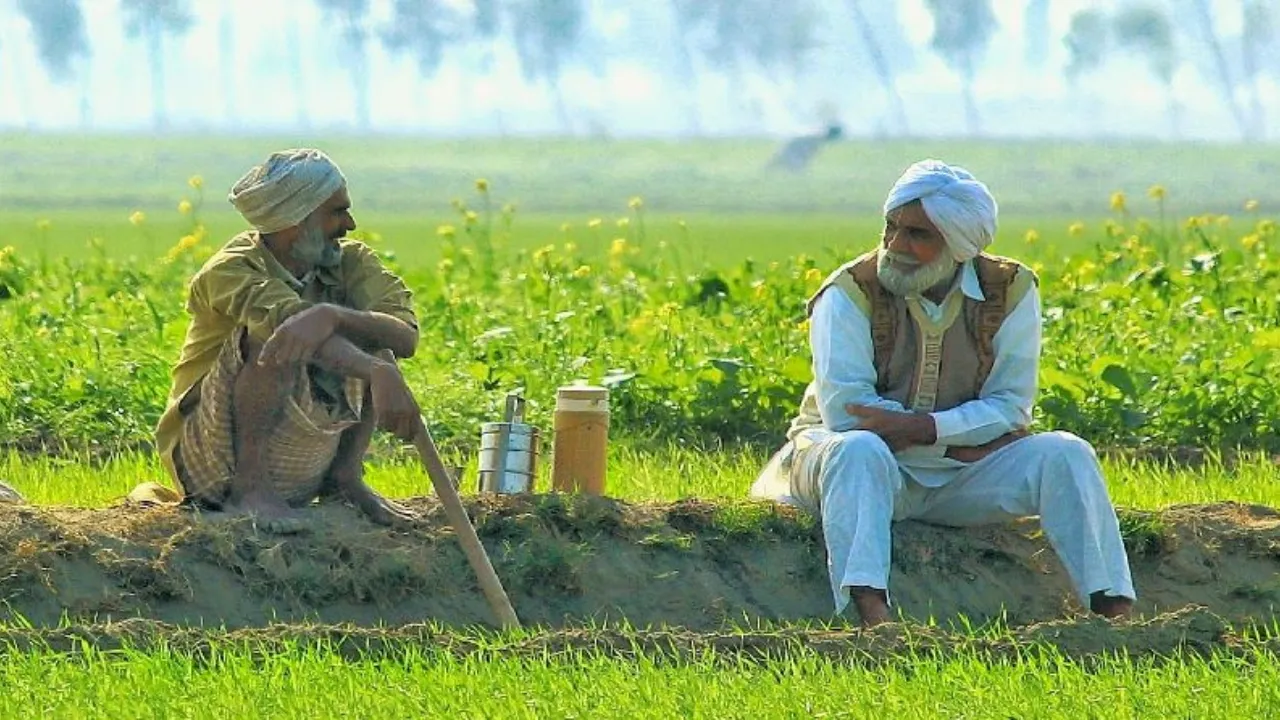 Farmers