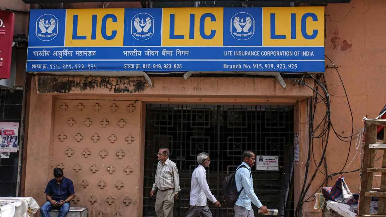 Lic Plan