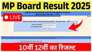 MP Board 10th & 12th Result 2025 – How to Check Scores on mpbse.nic.in & mpresults.nic.in