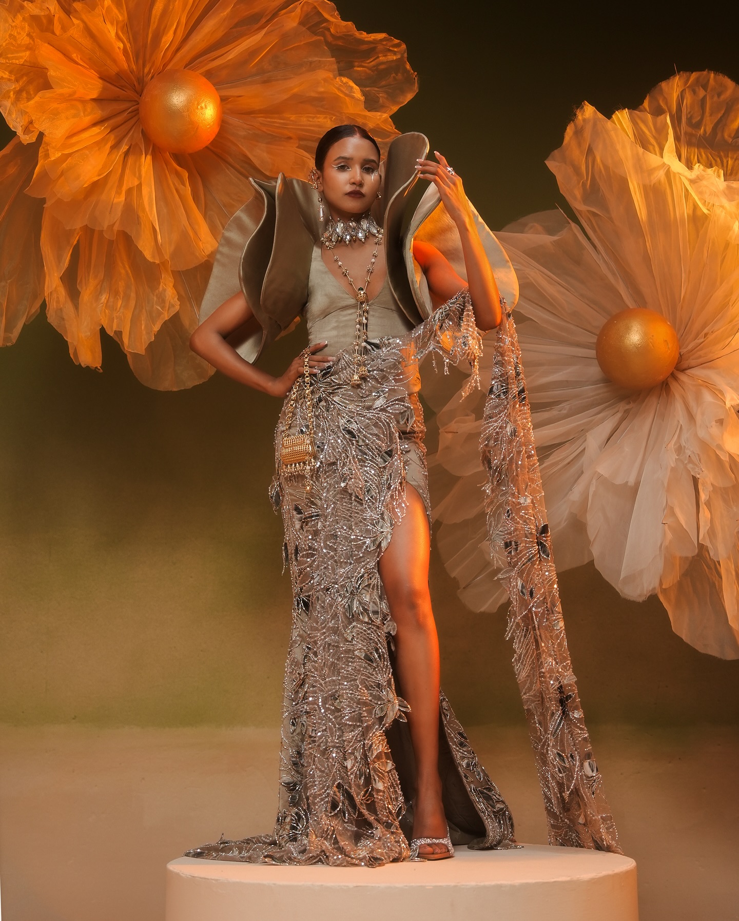 Nancy Tyagi Inspiring Story &...