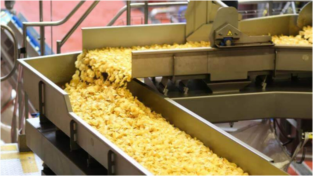 Small Business Idea – Rs 850 Investment, Rs 500 Daily Profit! Start from Home