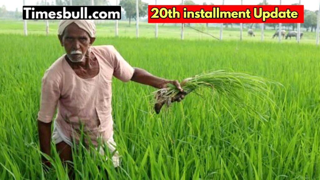 PM Kisan Yojana: These farmers will not get the installment of Rs 2000! Know update