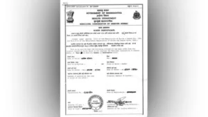 Birth Certificate: जन्म प्रमाण पत्र के लिए घर बैठे कैसे करें आवेदन! यहां जाने फुल डिटेल