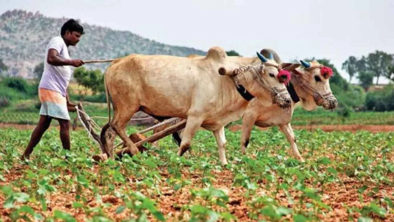Farmers India