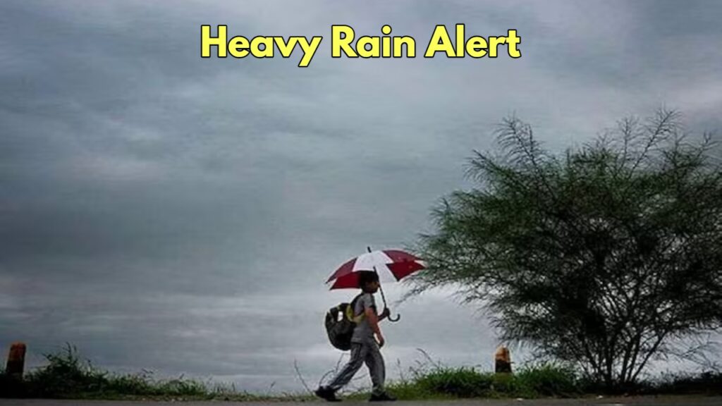 Monsoon Update: There will be heavy rain with thunder in the next 24 hours, IMD warns