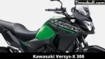 Kawasaki Versys-X 300 (1)