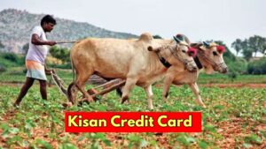 Kisan Credit Card