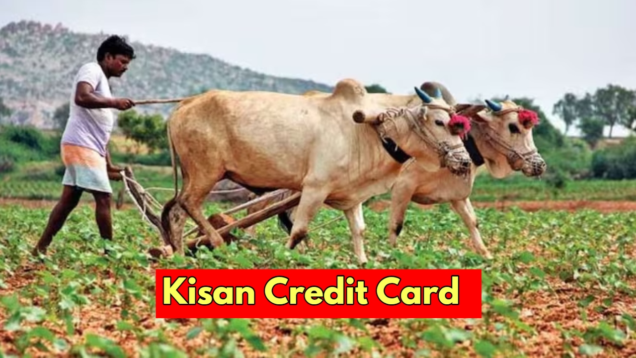 Loan up to Rs