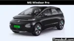MG Windsor Pro (1)