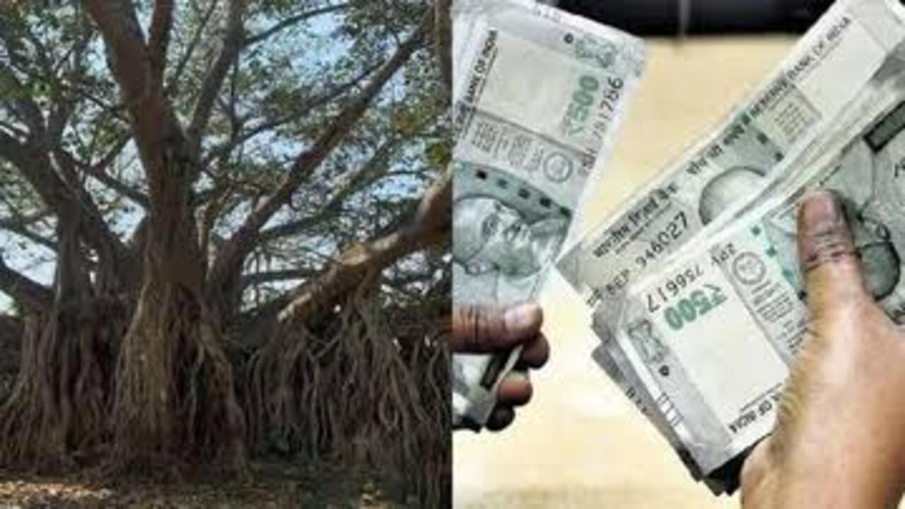 Prana Vayu Devata Pension: अगर...