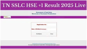Tamil Nadu 10th, 11th Result 2025: Direct Link to Check Scores, know detail