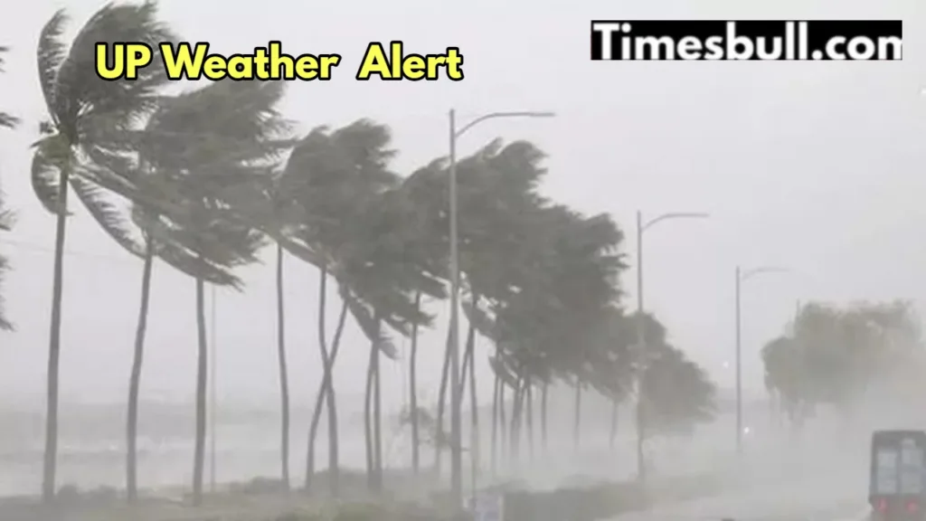 Weather Forecast: Alert of storm and rain in 55 districts along with thunder, know here