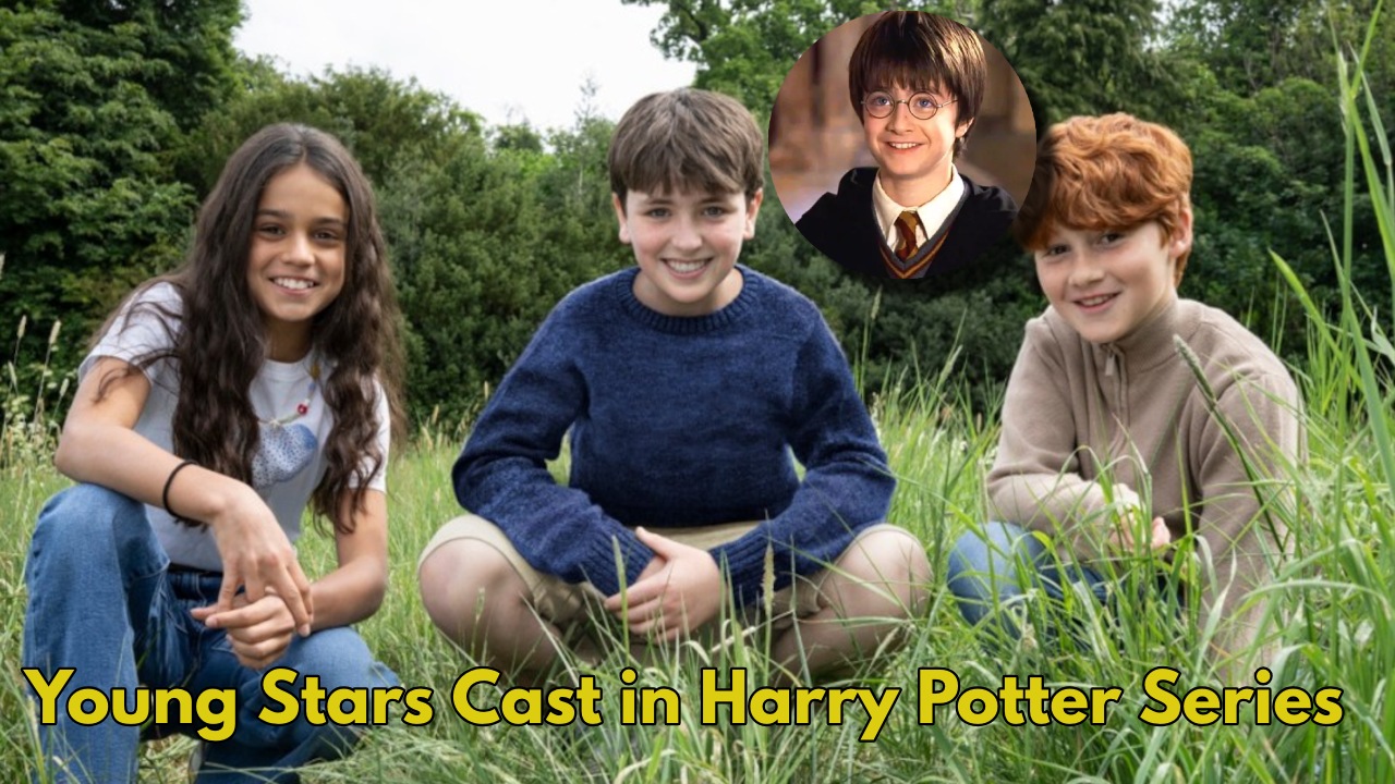 Harry Potter TV Series