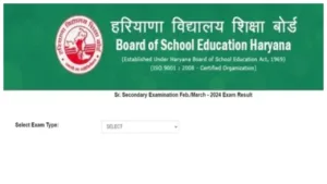 Haryana Board 12th Result Declared – How to Check HBSE Class 12 Scores at bseh.org.in