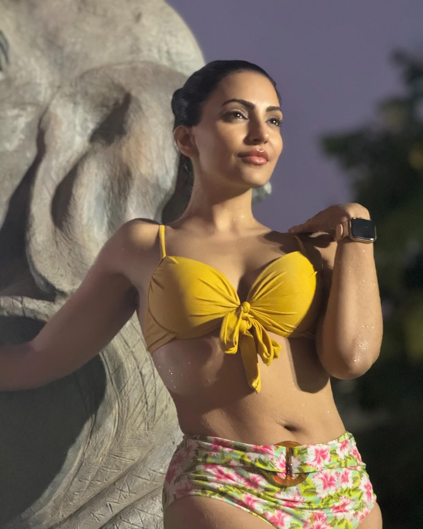 Navina Bole Glamorous Photos –...