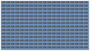 Optical Illusion – Can You Spot the Hidden 888 Among the 88Bs in 20 Seconds?