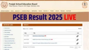 Punjab Board PSEB Result 2025: Check Punjab Board 10th and 12th result on direct link