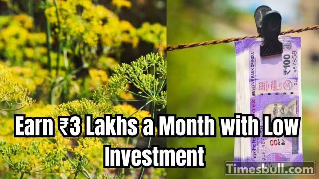 Business Ideas: Earn ₹3 Lakhs a Month with Low Investment and High Profit