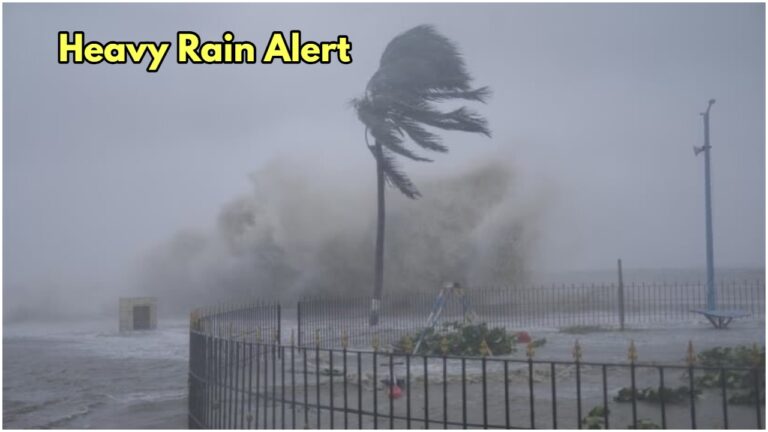 Monsoon Alert – There will be heavy rain in 15 states in 48 hours, know the forecast