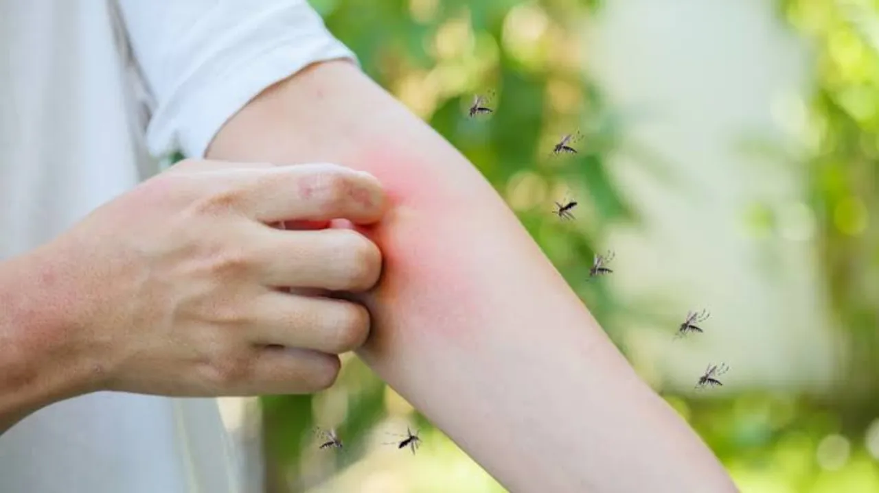 Mosquito Killing Tips