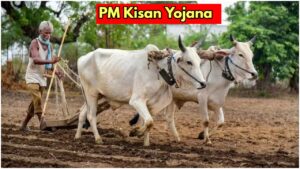 PM Kisan Samman Nidhi 20th Installment Likely on Friday (20 june)– Check Beneficiary Status & Updates