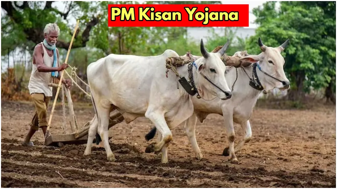 PM Kisan Yojana