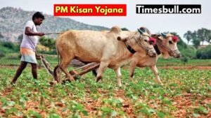 Pm kisan yojana