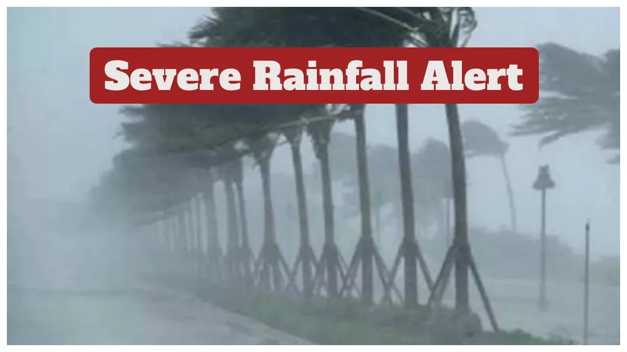 Severe Rainfall Alert
