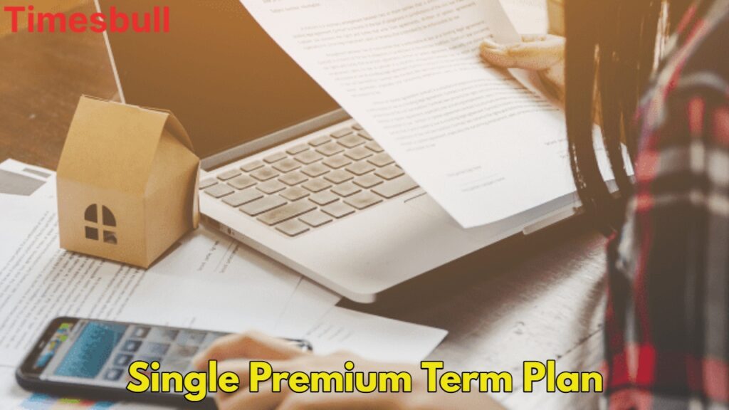 Single Premium Term Plan